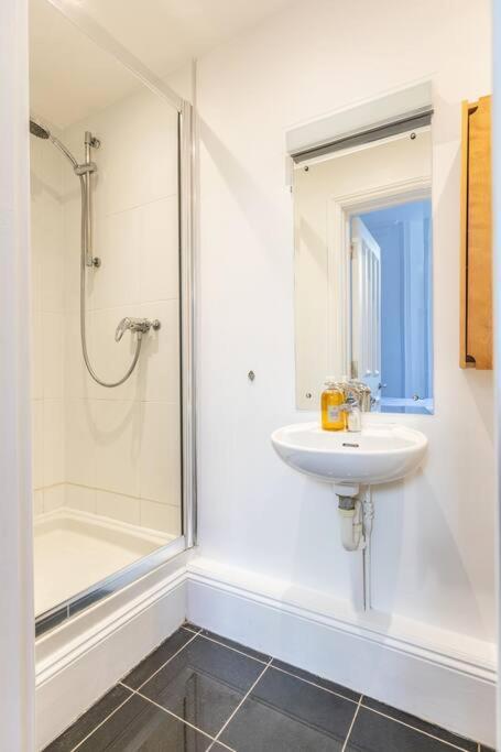 Victorian Flat Close To Station With Large Garden Apartment Brighton Екстериор снимка